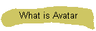 What is Avatar