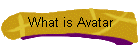 What is Avatar