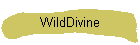 WildDivine
