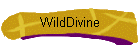 WildDivine